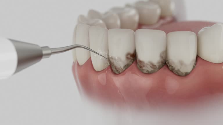 Reliable Dental contractor in Clancy, MT by Dentist Open Now